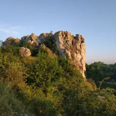 Skaliste wzgórze porośnięte drzewami i krzewami na tle błękitnego nieba.