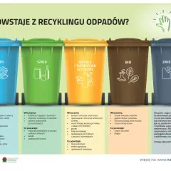 Gdzie wyrzucać śmieci? Segreguj bez błędów pełny poradnik