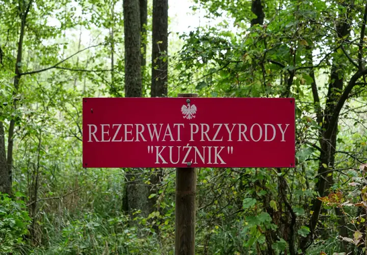 Rezerwat Kuźnik: Odkryj perłę Wielkopolski przewodnik po Gwdzie