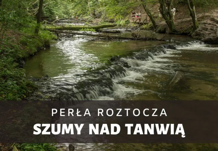 Rezerwat Szum: Kaskady Tanwi, szlaki i planowanie wycieczki na Roztoczu