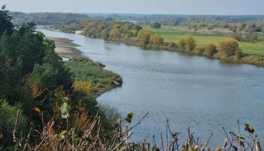 Szeroka rzeka w otoczeniu zielonych i jesiennych drzew, z piaszczystym brzegiem i łagodnymi wzgórzami w tle.