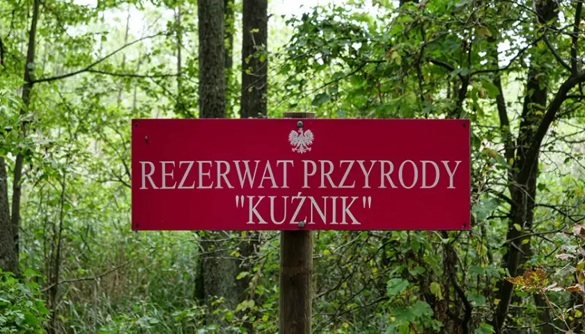Rezerwat Kuźnik: Odkryj perłę Wielkopolski przewodnik po Gwdzie