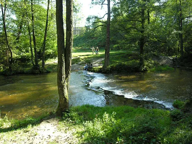 Flora Rezerwatu Szum